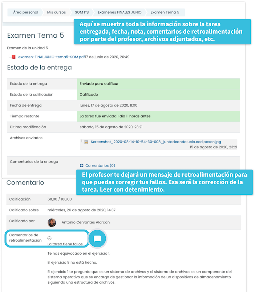 imagen ver calificaciones tareas moodle 1_3